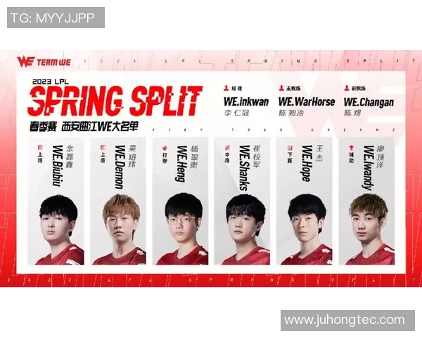 深入探讨WE战队在比赛中的数据分析与经验表现总结